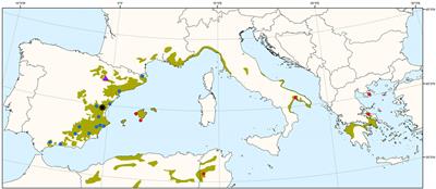 How Does Water Availability Affect the Allocation to Bark in a Mediterranean Conifer?